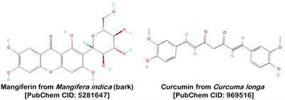 A novel front in sustainable microbial management: computational analysis of curcumin and mangiferin’s synergistic action against Bacillus anthracis